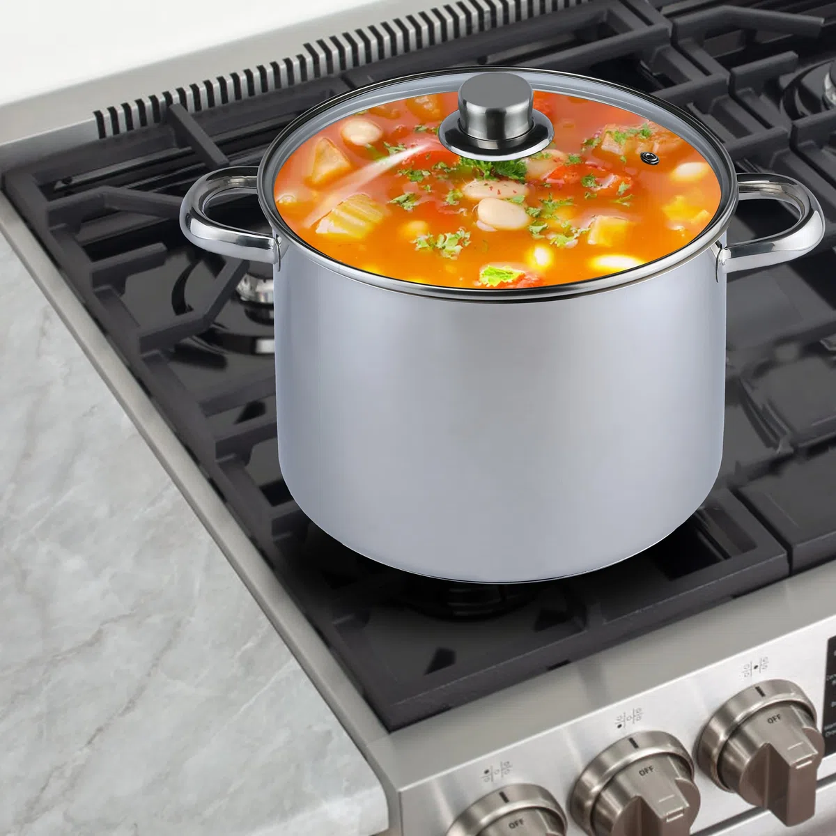 aro Olla Multiusos, con Tapa, Acero Inoxidable, Ø 24 cm, Plata, 9 L