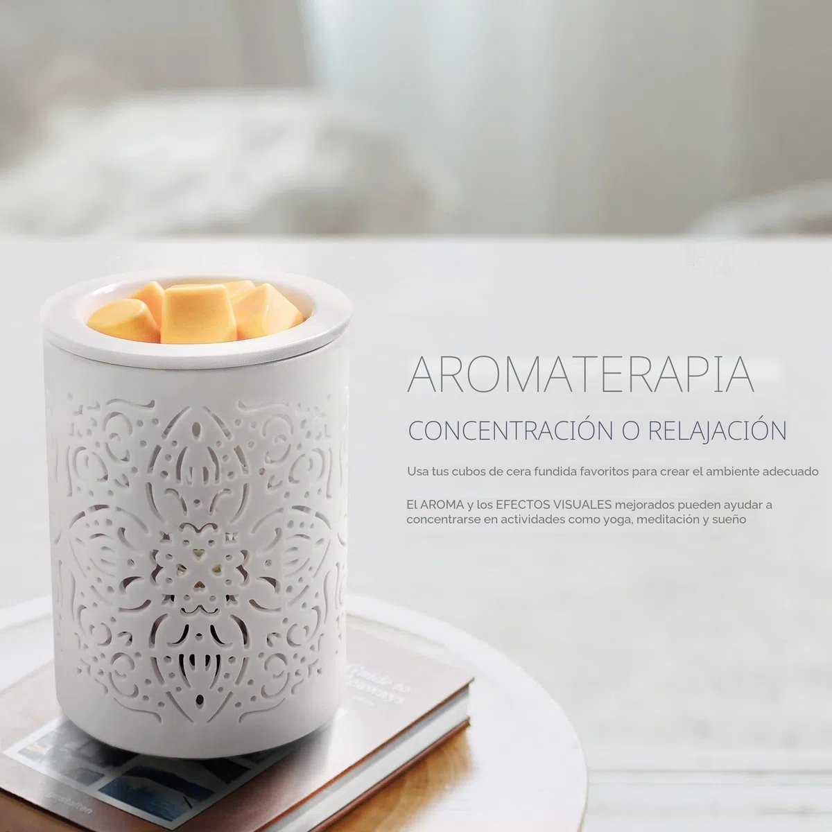 Earnest Living Quemadores de cera de fusión Quemador de aceite de cera eléctrica para aceites esenciales, cera derretida, quemador de aceite, cerámica blanca para regalo de aromaterapia