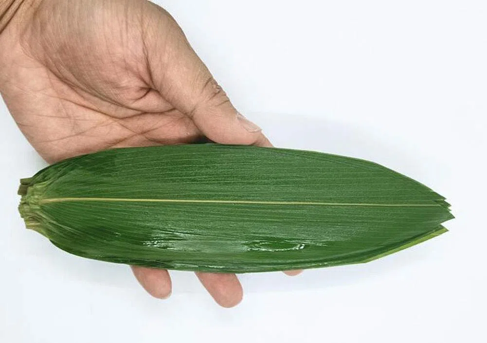 100 hojas frescas pequeñas de bambú envasadas al vacío, hojas de bambú salvaje natural para cocina japonesa, sushi, carne, vajilla, materiales de decoración - S