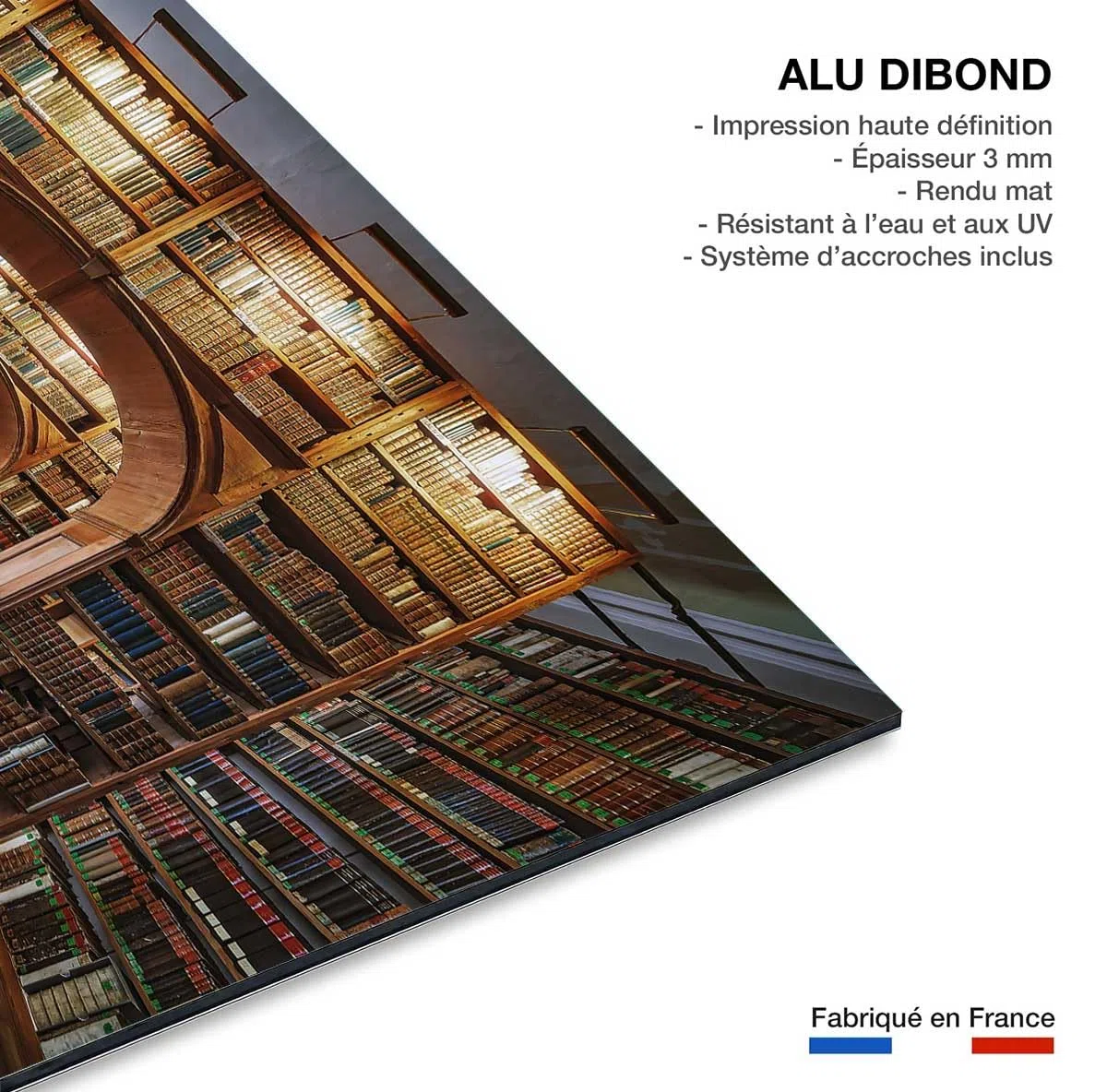 Cuadro Librería de Ciencias Alu - Made In France