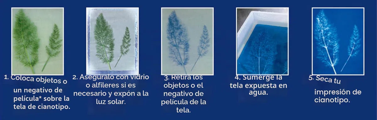 Jacquard Cyanotype Sensitizer Set