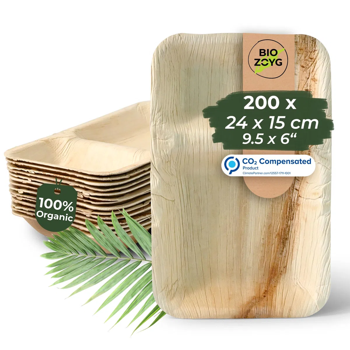 BIOZOYG Palmware - Platos de hojas de palma I Plato de menú desechable de 200 piezas hecha de hoja de palma rectangular de 24x15cm con 2 compartimentos separados
