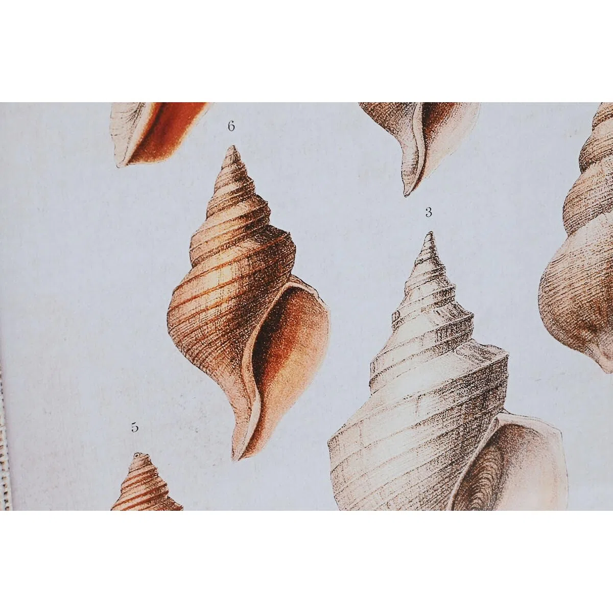 DKD Home Decor Cuadro 50 x 2.5 x 70 cm 50 x 2,5 x 70 cm (2 Unidades)