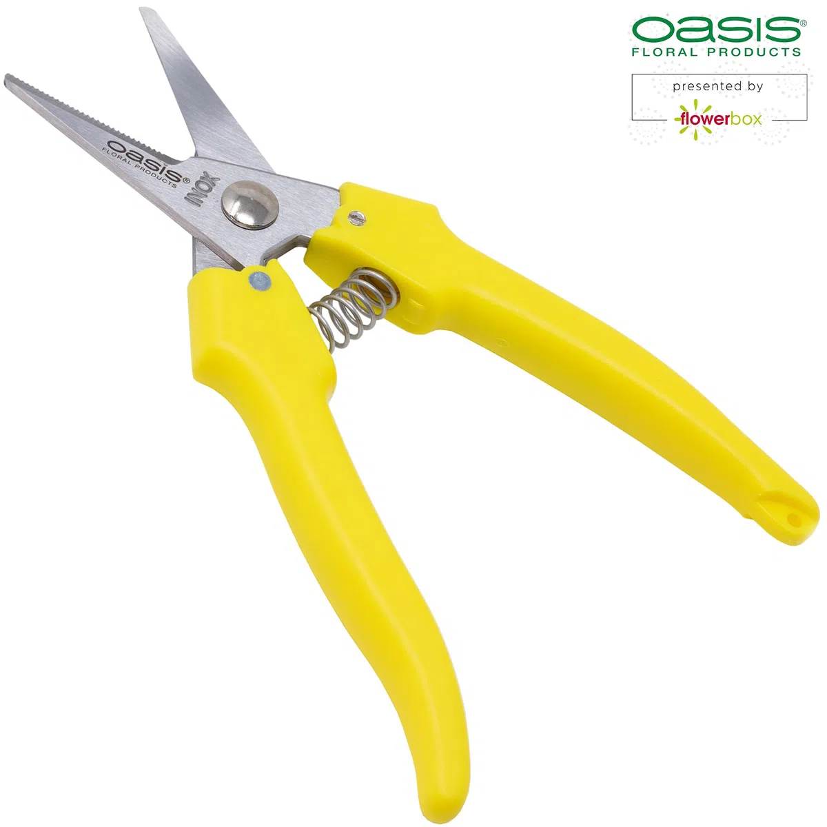 OASIS® - Tijeras para flores (170 mm, 1 unidad)