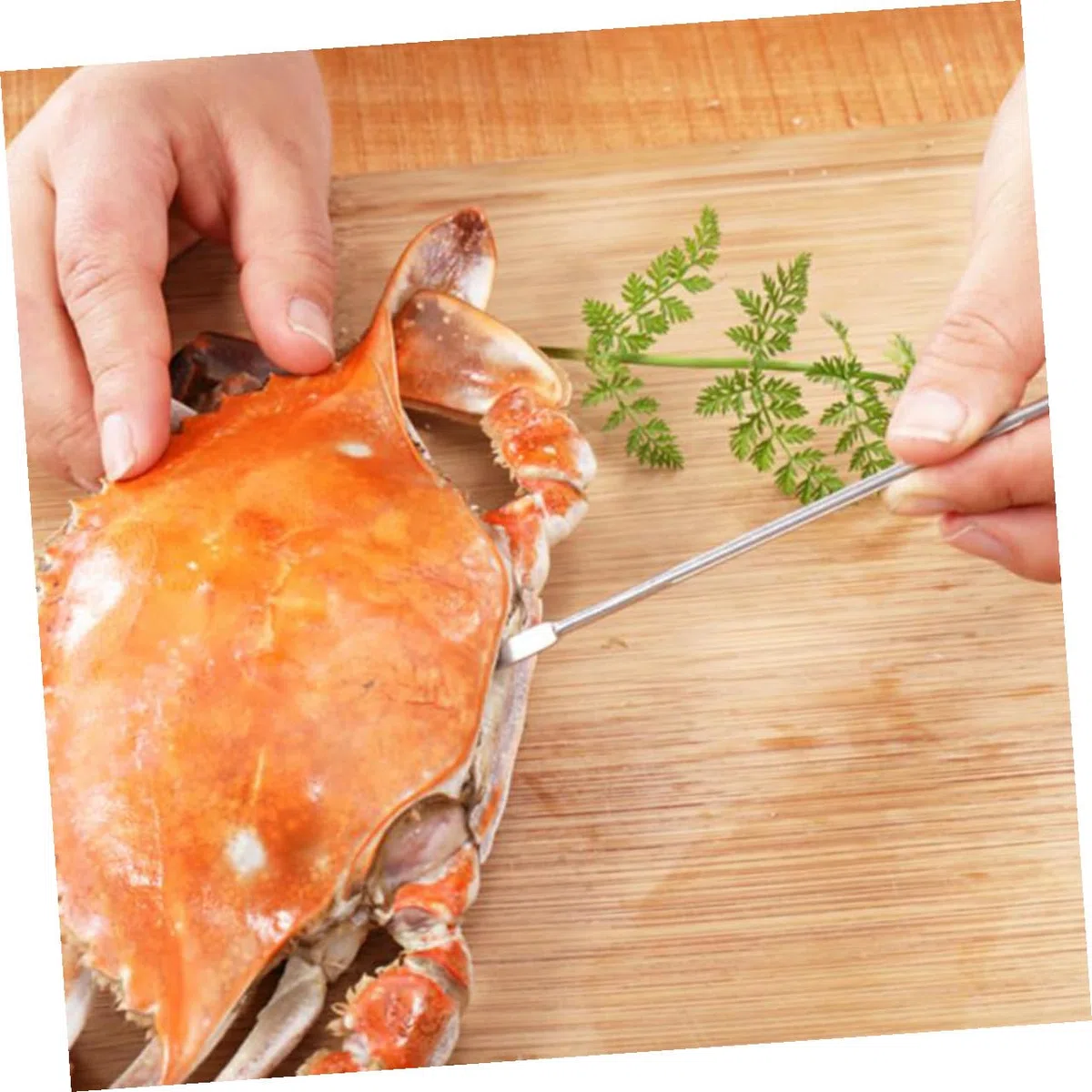 Tenazas para Marisco de Acero Inoxidable Cascanueces y Accesorios de Cocina Fáciles de Usar y Transportar para Disfrutar Mariscos en Casa