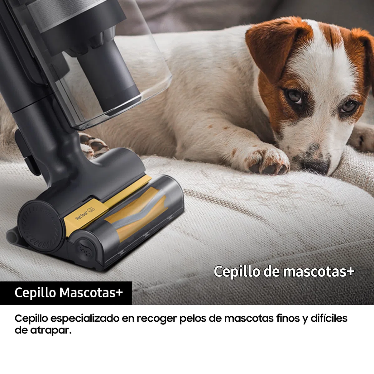 Samsung Aspiradora sin Cable Jet 85 Pet 210AW con Cepillo para Mascotas+ VS20C8522TN/WA