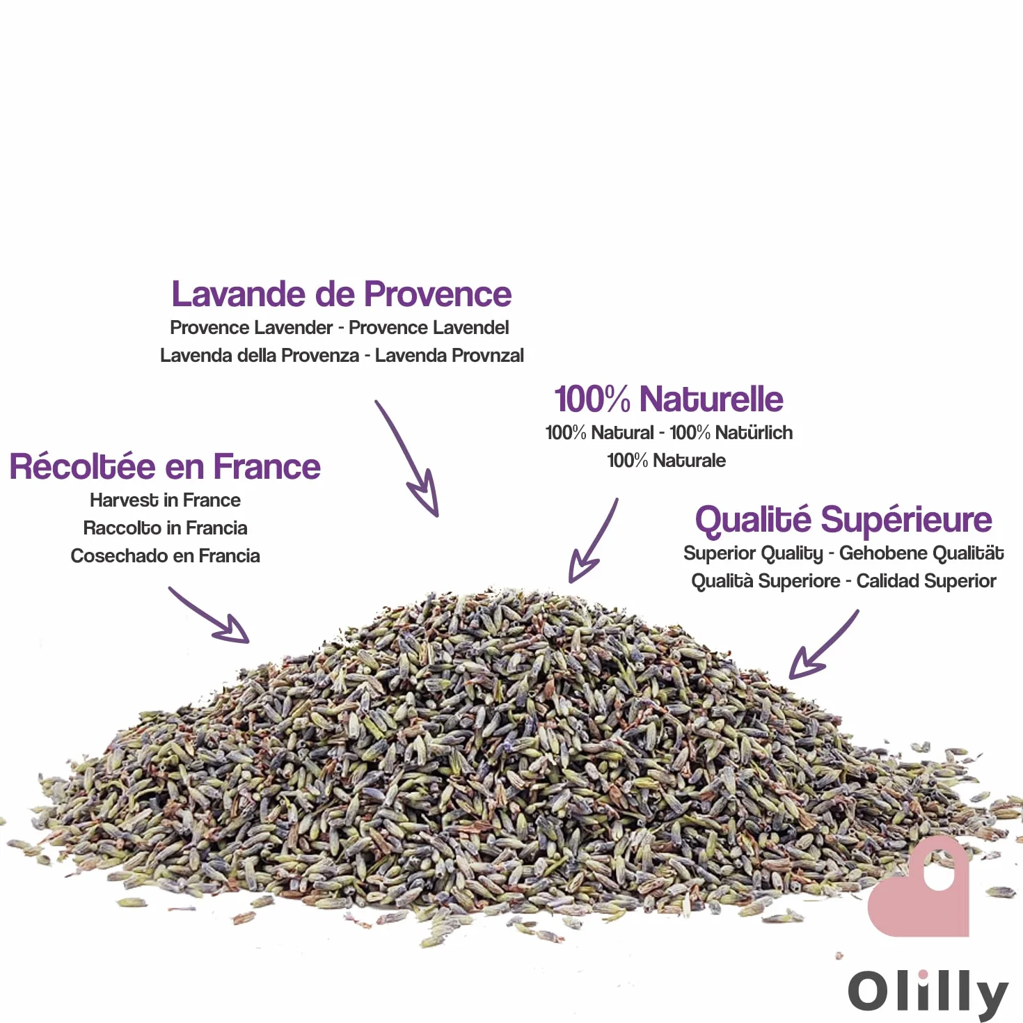 OLILLY - Cosecha 2025 - Flores de Lavanda secas de Provenza (Lavandin Grosso, 500 Gramos)