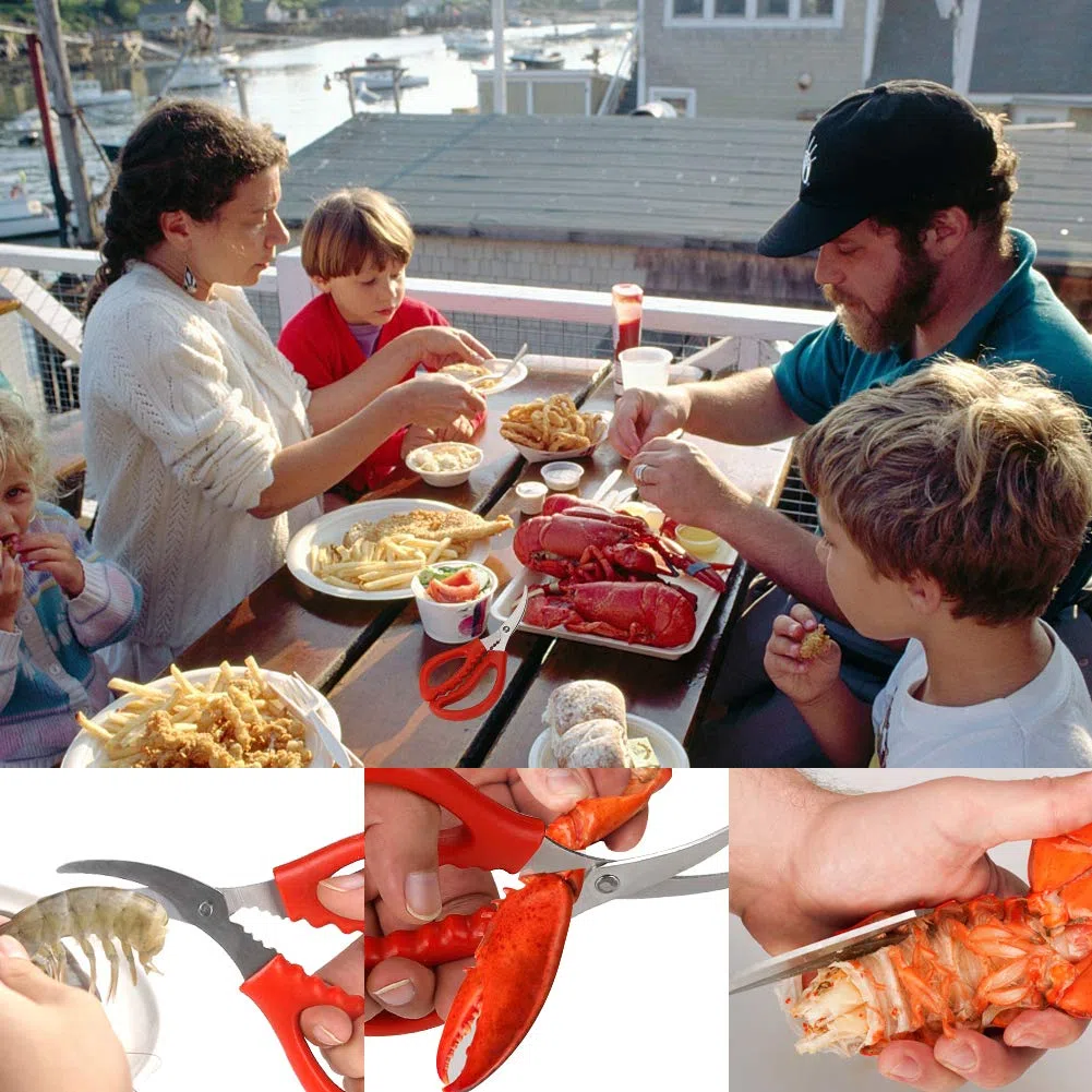 Calary - Tijeras para mariscos, tijeras de cangrejo (8 unidades)