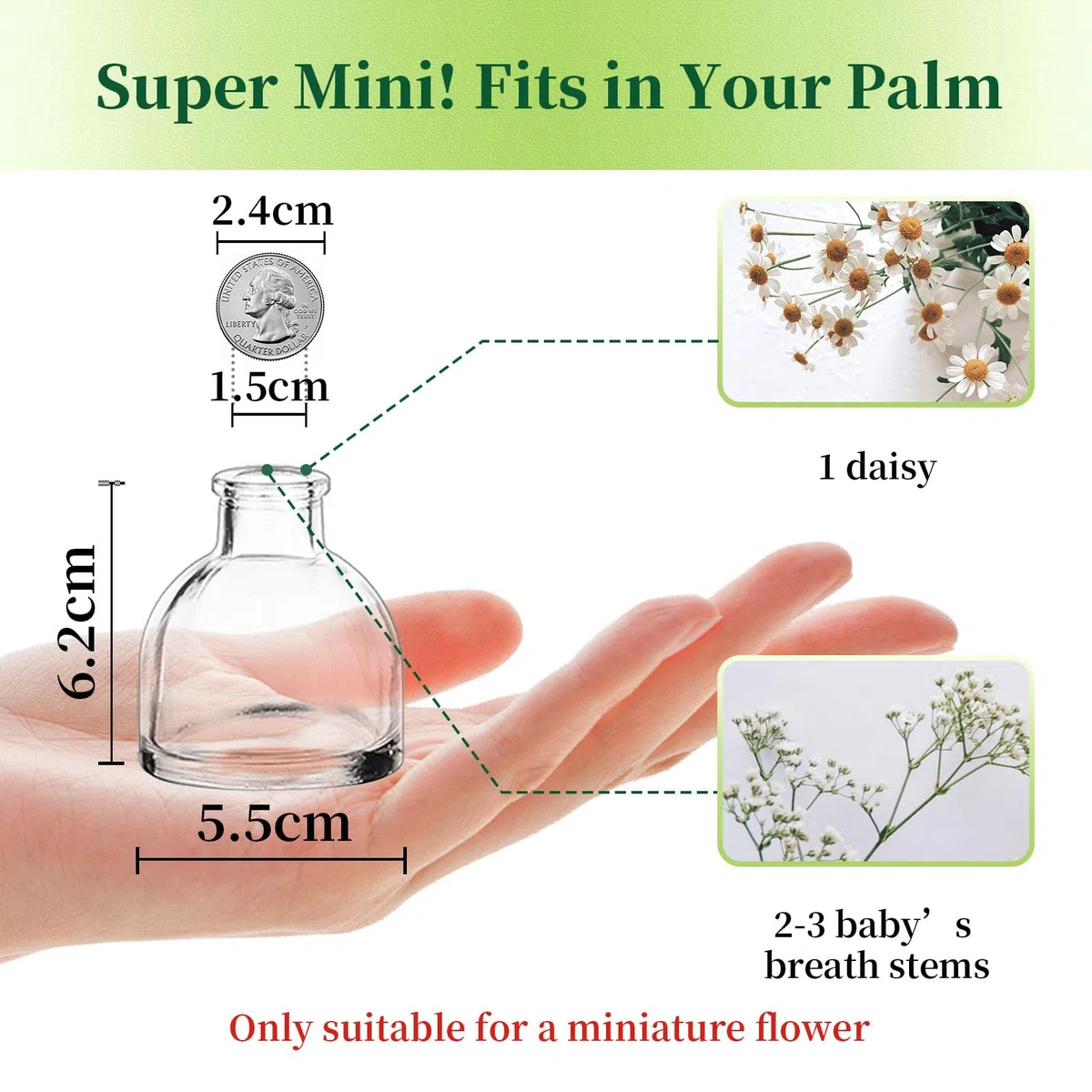 Hewory Jarrón de Cristal Decorativo Transparente - Set de 20 Piezas Mini Floreros para Centro de Mesa y Flores - Botella Pequeña