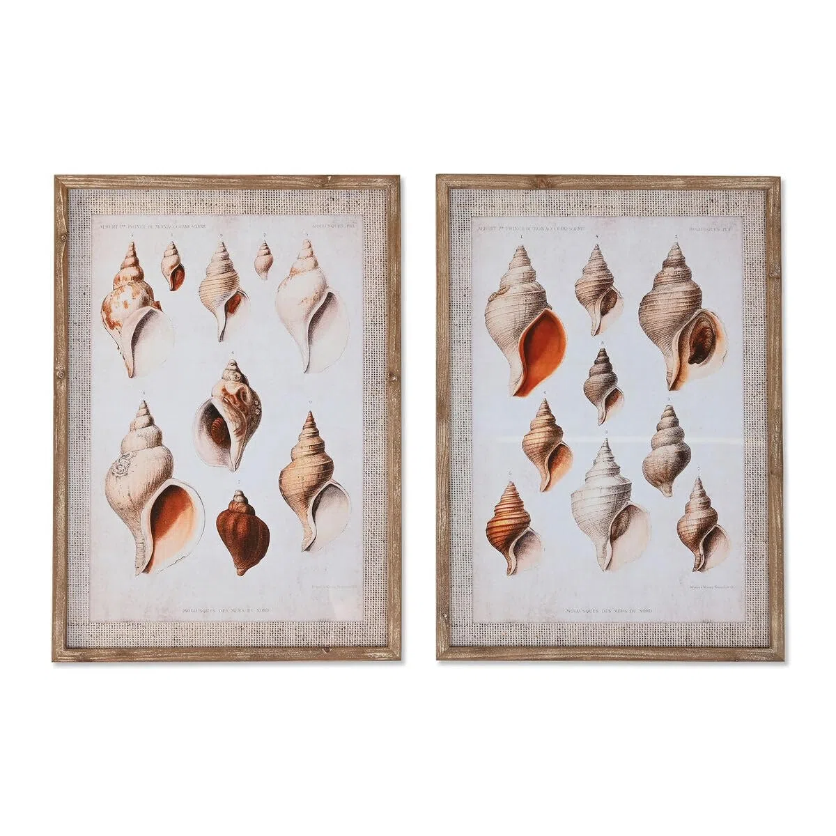 DKD Home Decor Cuadro 50 x 2.5 x 70 cm 50 x 2,5 x 70 cm (2 Unidades)