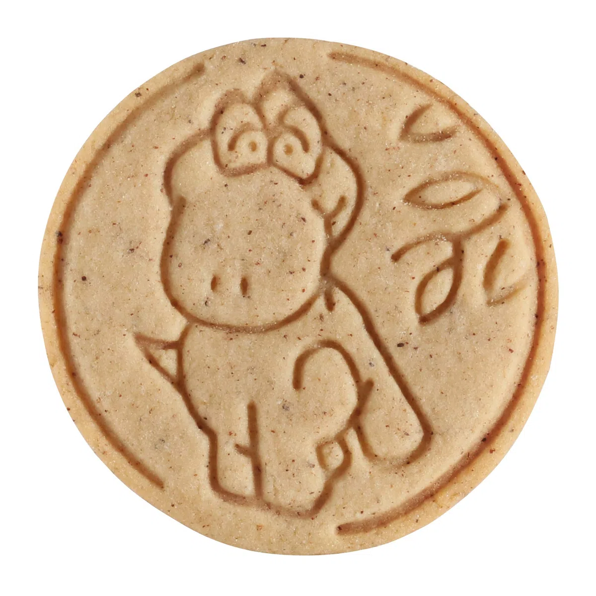 Tescoma DELICIA – galletas, DE con sello dinosaurios, plástico