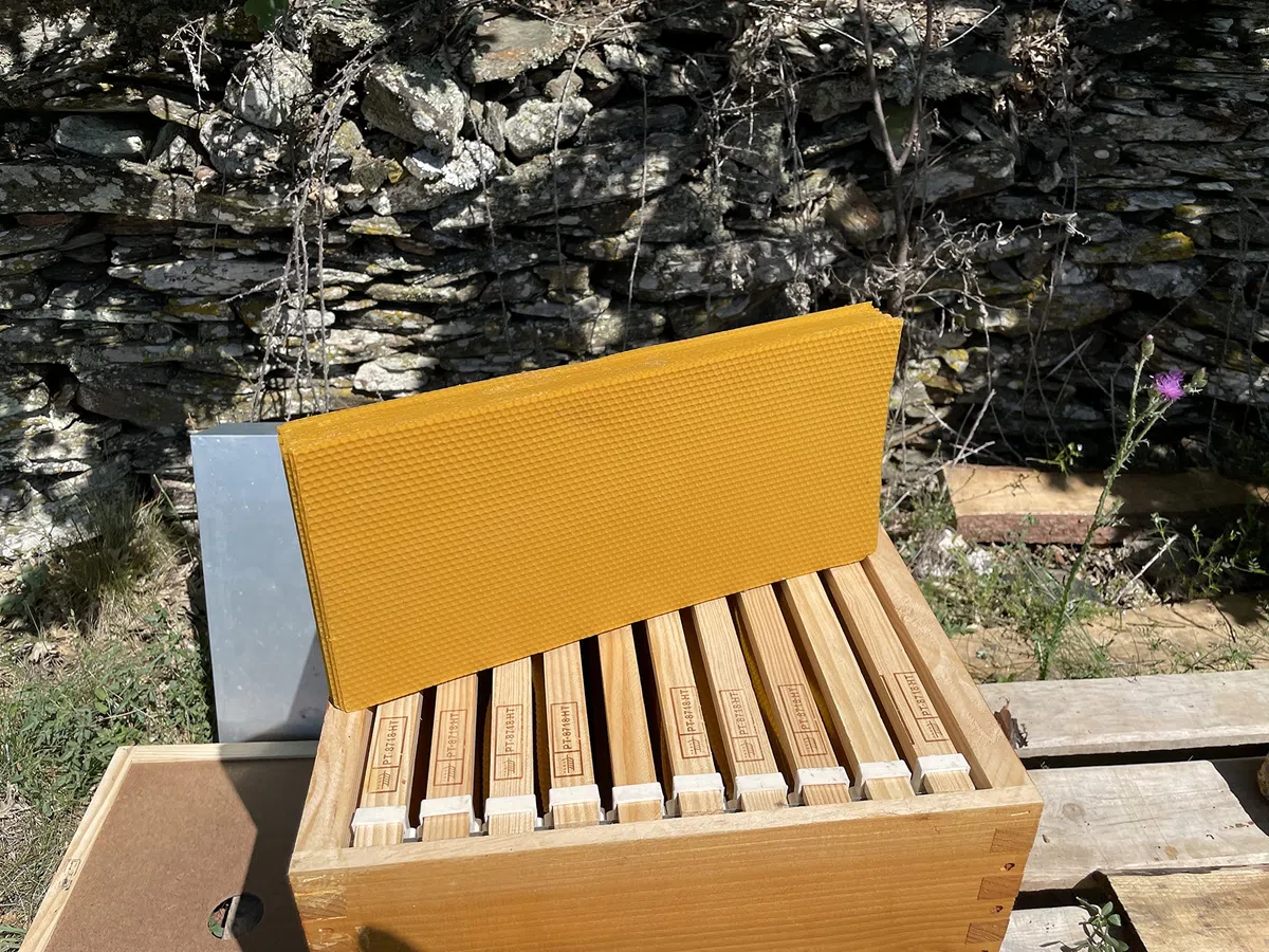 Vela de Miel de Abeja Natural. Velas de Cera de Abeja Pura (Pack de 16 velas 20 cm x 2,4 cm) - SIN PARAFINA - 100% Artesanal,Origen Sierra de La Culebra y Sanabria (Zamora) España.