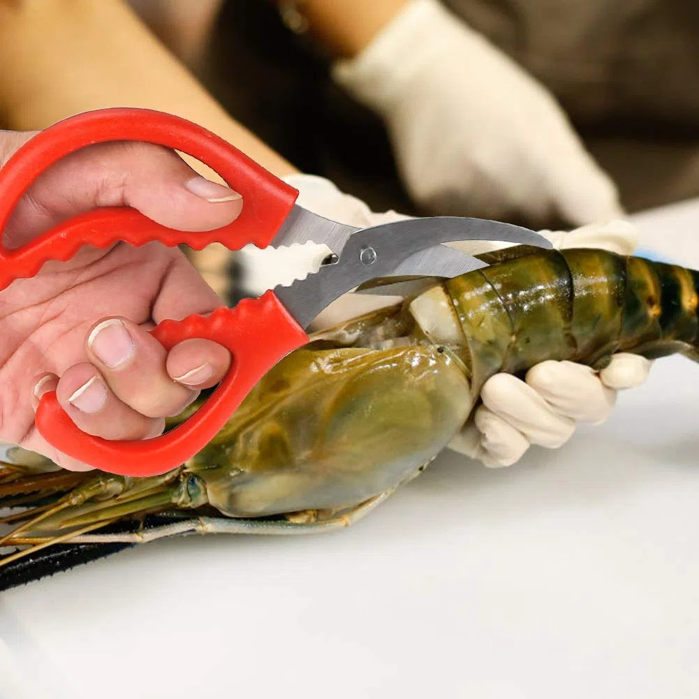 Calary - Tijeras para mariscos, tijeras de cangrejo (8 unidades)
