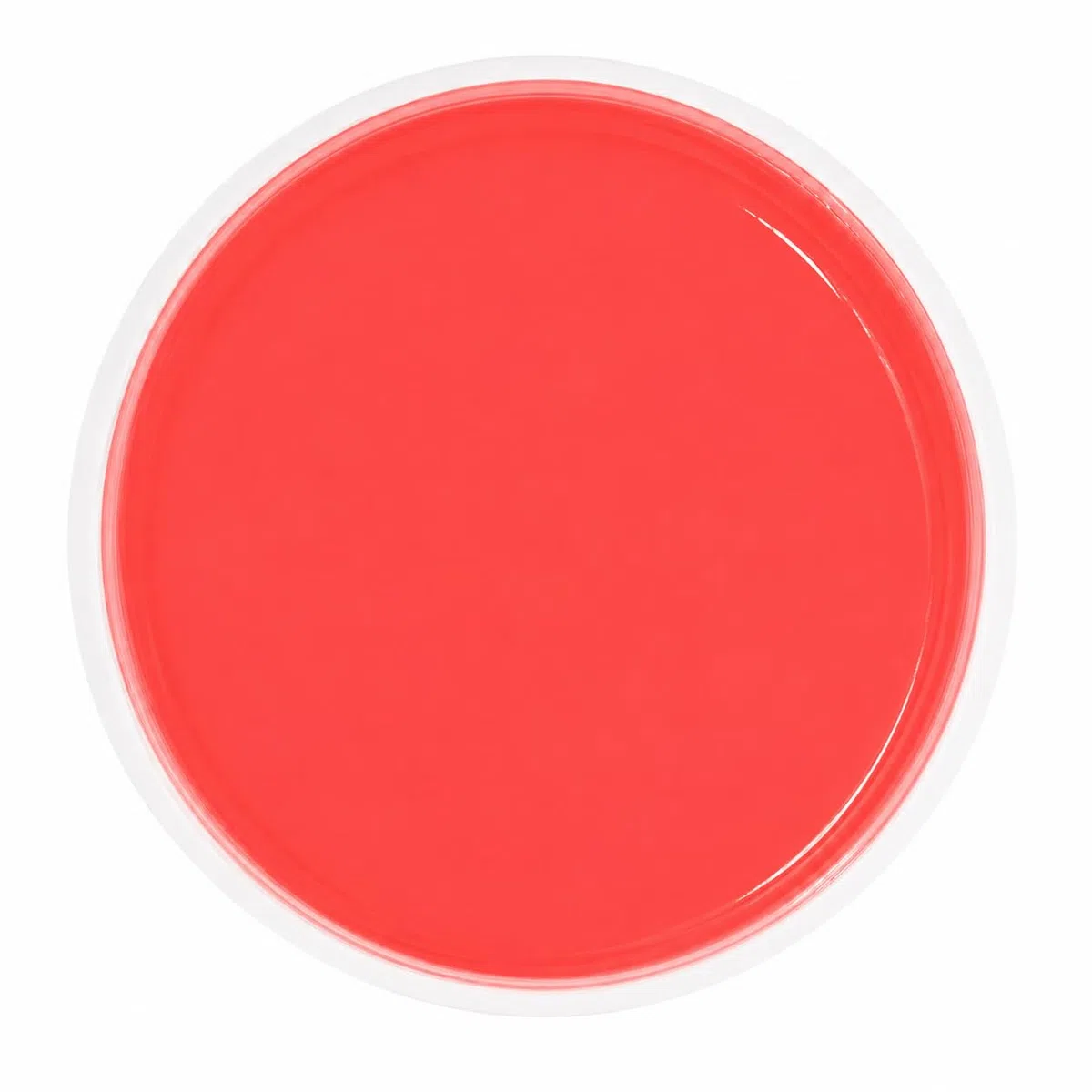 Tinta opaca a base de agua, 100 g (rojo fluorescente)