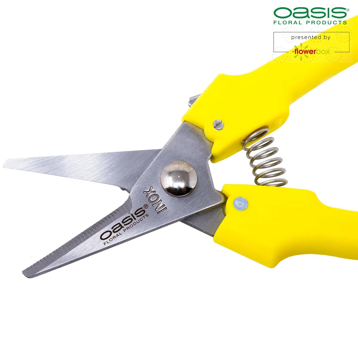 OASIS® - Tijeras para flores (170 mm, 1 unidad)
