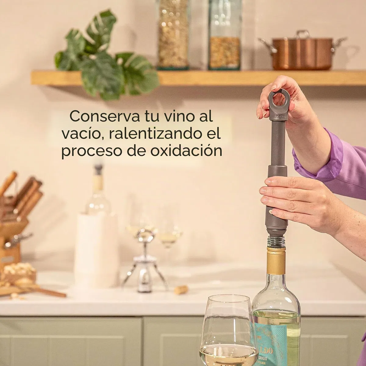 Bomba de Vacío Para Vino Vacu Vin Wine Saver Loop - Diseñada y Fabricada en Los Países Bajos - Conserva el Vino Fresco Hasta 10 Días - Reutilizable - 1 Bomba de Vacío, 1 Tapón de Vacío, Grafito