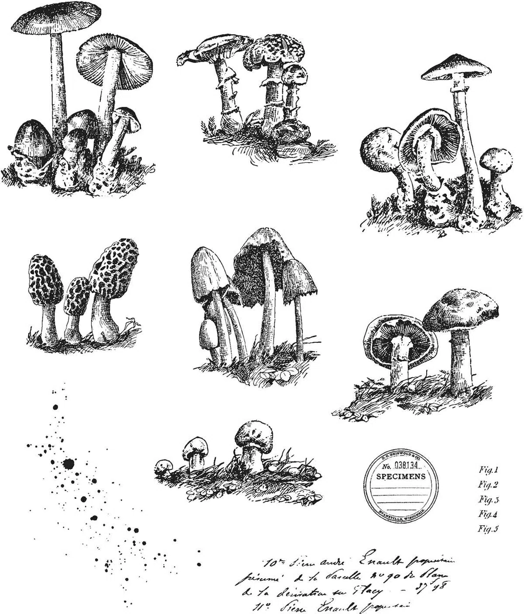 Tim Holtz - Stampers Anon Cling RBBR - Juego de sellos pequeños, talla única